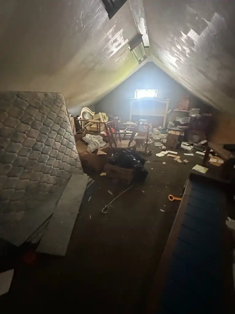 Before: Attic Cleanout & Junk Removal