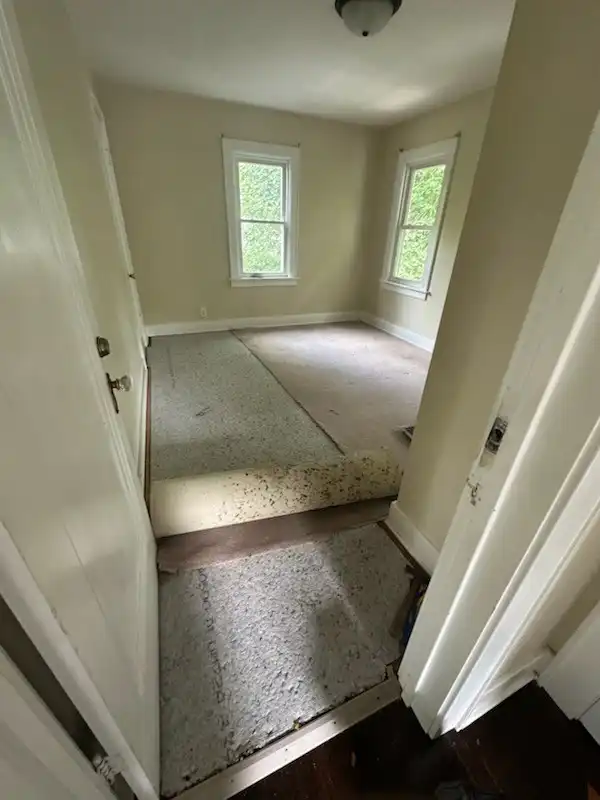 Before: Residential Property Cleanout